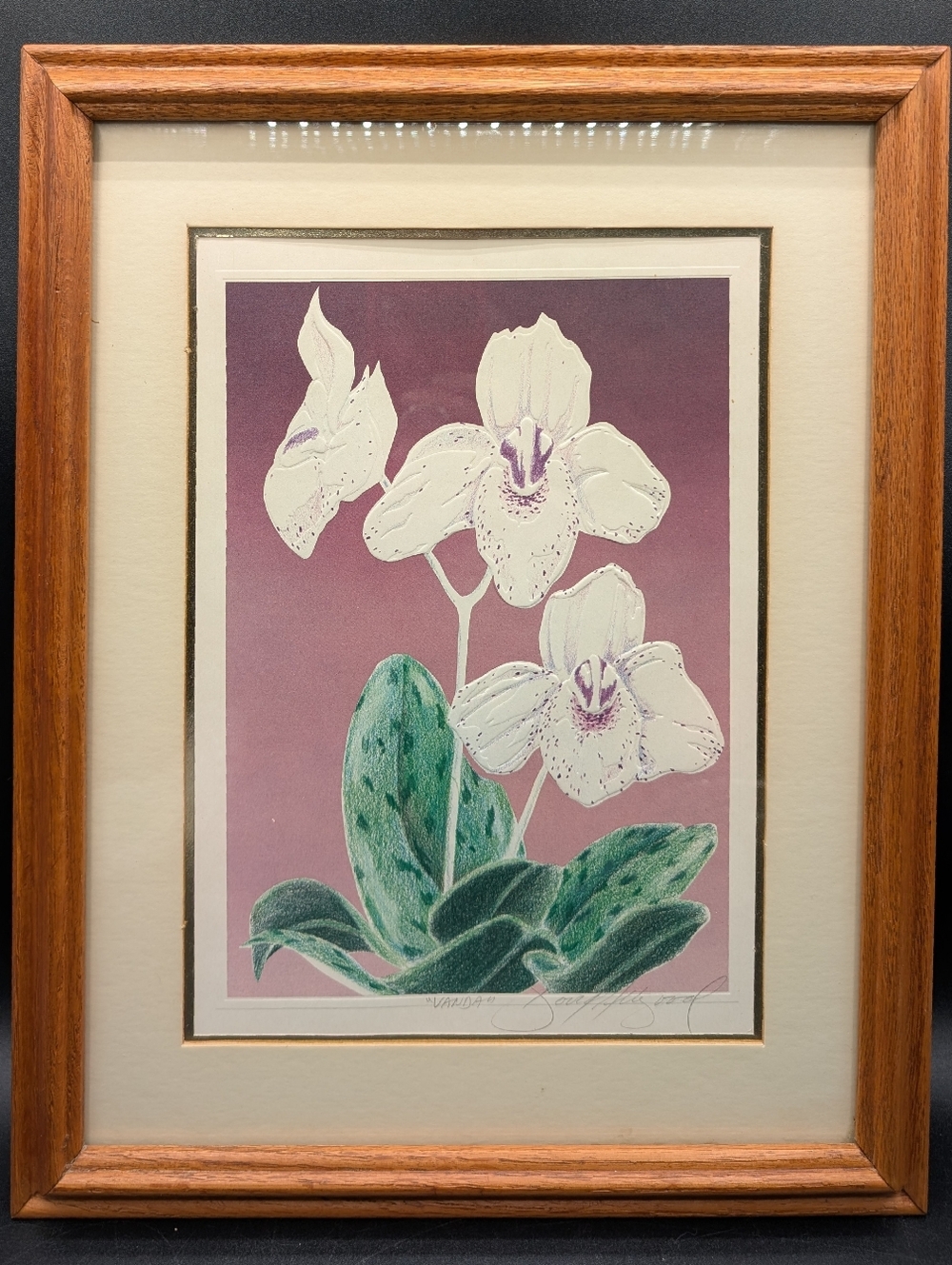 Framed Signed David Allgood Embossed Serigraph "Vanda" Orchids 1982 Vintage, Oak